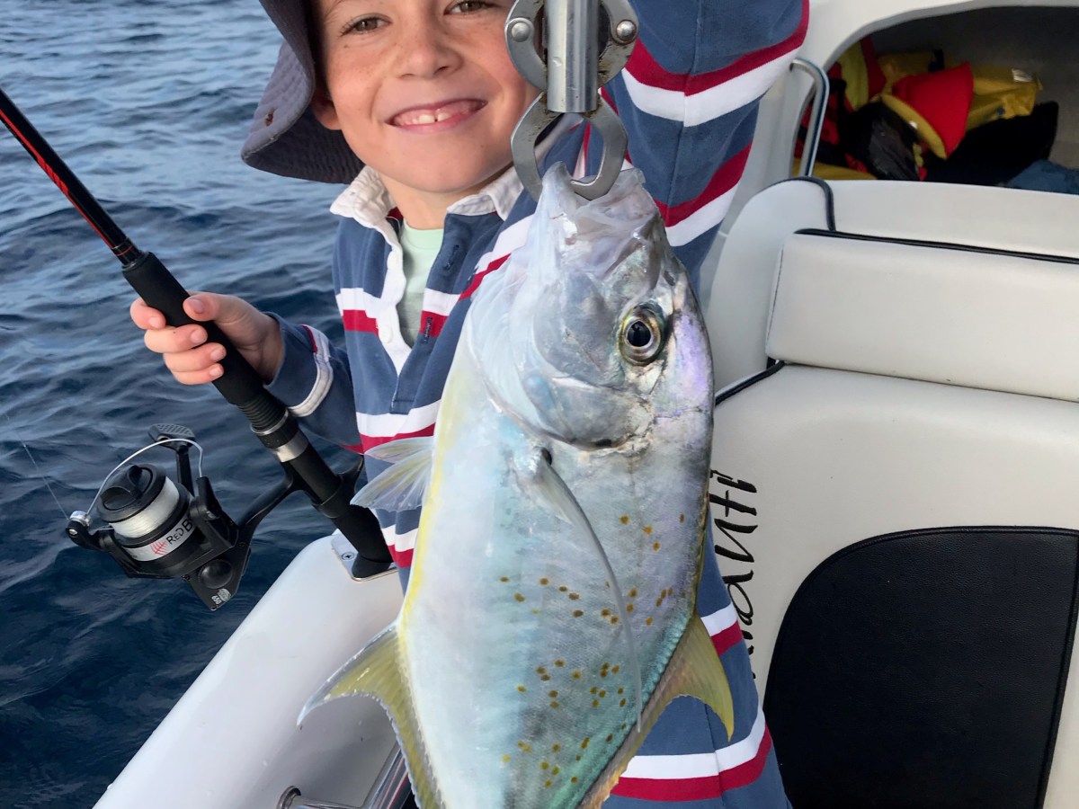 Gold Spot Trevally